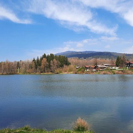 Fewo Bayerischer Wald Im Lamer Winkel アルラッハ エクステリア 写真