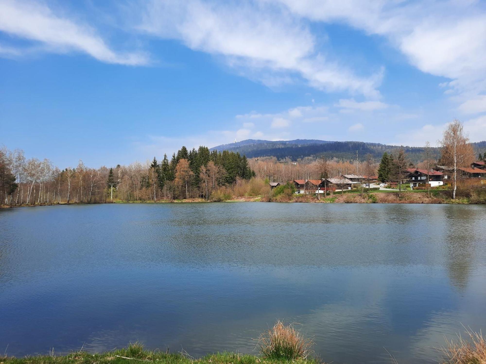 Fewo Bayerischer Wald Im Lamer Winkel アルラッハ エクステリア 写真