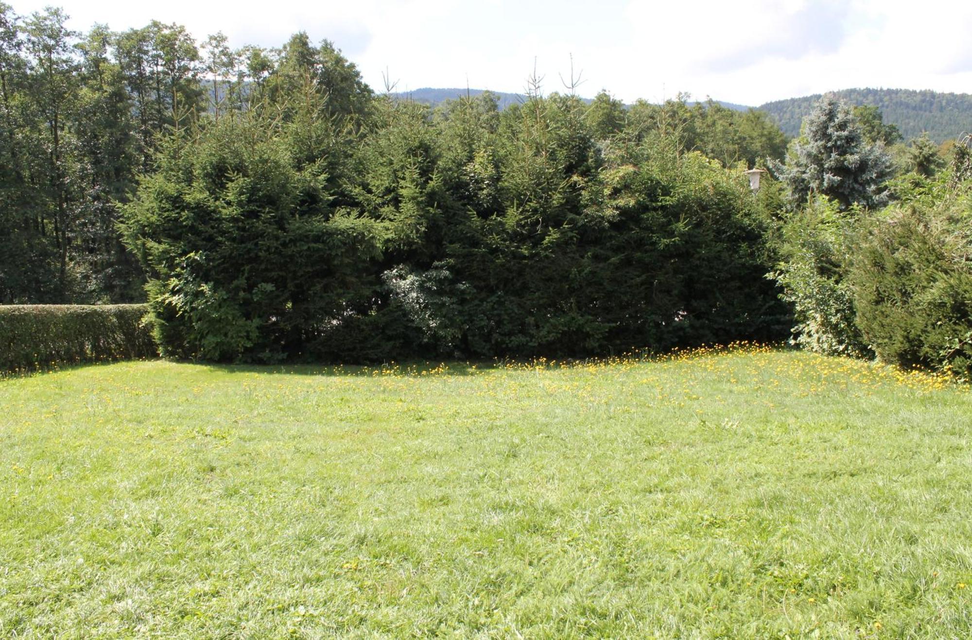 Fewo Bayerischer Wald Im Lamer Winkel アルラッハ エクステリア 写真